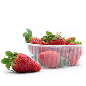 Restaurant Cheff mounting a dish