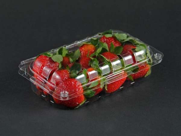 Mains Menu Background Image